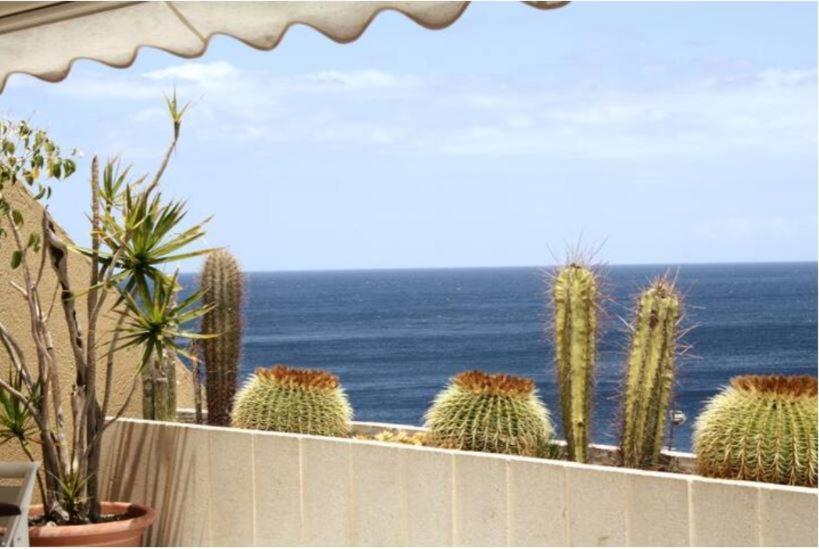 Apartamento Frente Al Mar Radazul Exterior photo